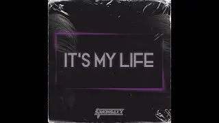 SIMONSAXX - IT'S MY LIFE