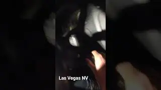 VW Jetta 2012 key doesn't turn the ignition... let's see who knows what was the problem ..