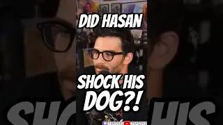 Ударил ли Хасан Пикер свою собаку током?