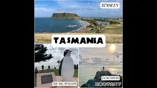 Place must visit in Tasmania Itinerary 塔斯马尼亚州 Day 9 - Devonport to Stanley