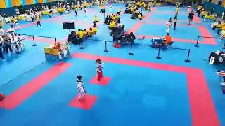 KIM& LIU 2019 ANNA &Tau;&Epsilon;&Lambda;&Iota;&Kappa;&Omicron;&Sigma; FINAL ROUND POOMSE CADETS
