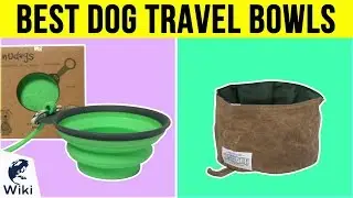 10 Best Dog Travel Bowls 2019