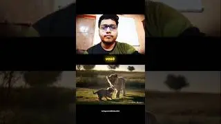 Hailuo 2 vs Veo 3 &ndash; Best AI Video Model? 😱🔥 #siddsnation #hailuoai