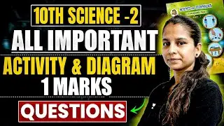 All Important Activity & Diagrams Class 10 Science 2 SSC Maharashtra Board | By Pranita Ma'am
