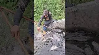 Kitang kita ang bumababang isda pagbukas nh Dam #amizing #fishing #fypシ゚viralシ2024fyp