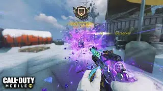 DESTROYING MY STREAM SNIPER WITH The PPSH-41 Combustion! This PPSH gunsmith is op in codm!