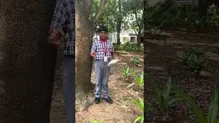 World Environmental Day 2025 | Plant and Save Tree | #kvs #kv  | #worldenvironmentday | #savetrees