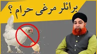 Broiler Chicken is Halal or Haram in Islam | Broiler Murghi Chicken Haram ya Halal | Mufti Akmal