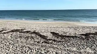 Atlantic beachfront, coconut point park,  melbourne beach florida @zenbeachseconds