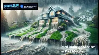 Yard Drainage Services in Port Moody