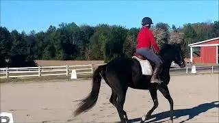 Scat Jack W/T/C             OCT2018