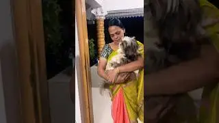 പോവുമ്പോൾ സങ്കടവും അവളേം കൊണ്ട് പോയാൽ സന്തോഷവും #pets #dogs #dogshorts  #dogfashion #dogclothes
