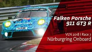 Onboard Falken Porsche  | VLN Race 7