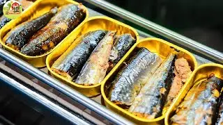 The World's Oldest Sardine Cannery Packs 60 Million Cans A Year | Farming Documentary