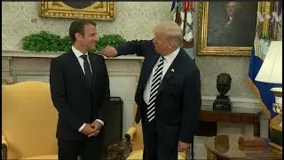 Trump Brushes 'Dandruff' Off Macron