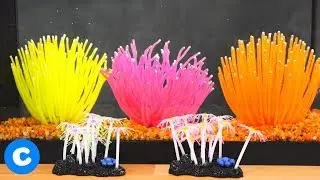 Sporn Aquatic Decorations