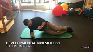 Developmental Kinesiology