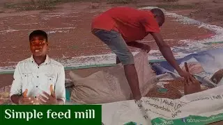 How to start a mini feed mill industry in Nigeria and the equipment needed to start