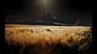 Flash & The Pan - Lights in the Night (First Light Edition)