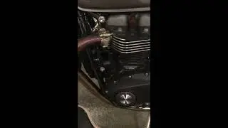 Triumph Horn Upgrade (Wolo Full Blast)