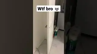 door laughs like a witch 💀 (video is fake sadly)