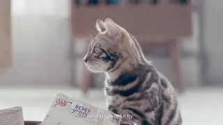 IronScoop The Fastest Cat Litter Scoop Ever || amazon gadgets 2018 || review