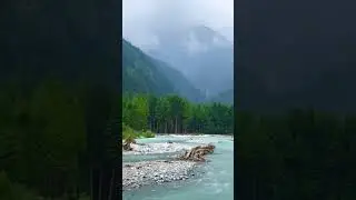 Forest's Song | Relaxing Sounds of Cascading Waters #nature #sleepmusic #shorts