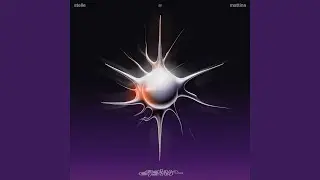 Stelle