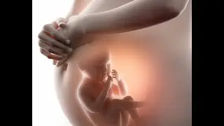FACTORES DE RIESGO QUE TUS HIJOS NASCAN CON PROBLEMAS MENTALES🍻Platica de Cabrones☕#75