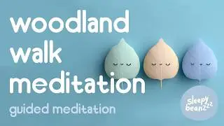 Woodland Walk Visualisation 🌳 Sensory Guided Meditation for Kids 🍃 Calm Focus & Gentle Breathing 🕊