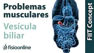 Vesícula biliar - Problemas articulares y musculares que puede provocar