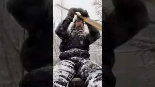 a winter canoe ride through a cedar swamp