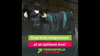 Forcefield  Calf Jacket