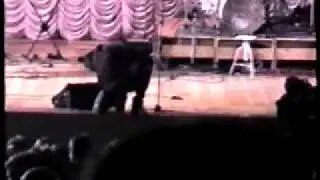 Monkeys Work  in Ukraina
