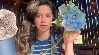asmr &bull; barnyard wedding planner