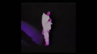 Elvis Presley Las Vegas February 1973 concert live footage