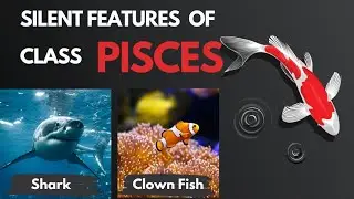 PISCES | THE FISH WORLD | Characteristic features TYPES OF FISH with EXAMPLES |#zoology #vertebrate
