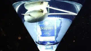SEAGRAMS GIN PROMO