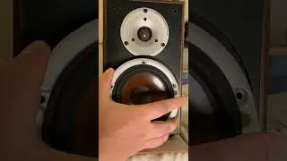 Dali Spektor 2 - Woofer disassembly