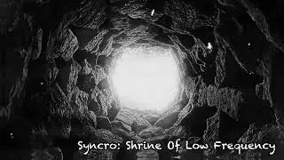 Syncro: Shrine Of Low Frequency
