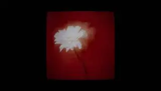 karmen + danyl type beat | TON COEUR EN PEINTURE (kayce!)