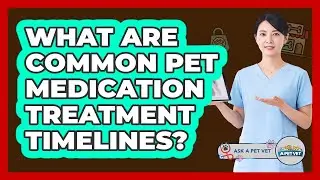 What Are Common Pet Medication Treatment Timelines?