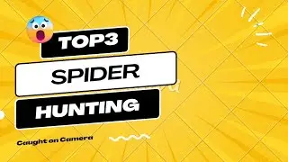 Arachnid Ambush: The Art of Spider Hunting🕷️😱