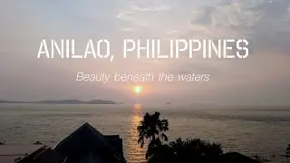 Beauty beneath the waters at Crystal Blue Resort in Anilao, Philippines with 3 yawning frogfish!