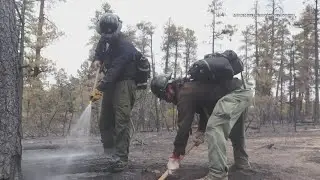 Middle Mesa Fire burning in Carson National Forest