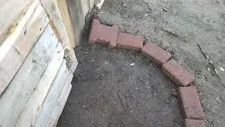 Kuş ucurduk catıya atık 