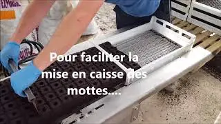 Hortivision pupitre de mise en caisse