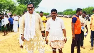 నల్ల చెరువు పల్లె  సీనియర్స్ విభాగానికి 2వ జత SSR బుల్స్
