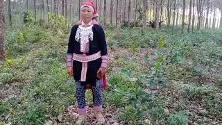 iu Mienh nzung eix