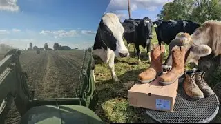 Baling Bedding, Milking, & Talking About Cows